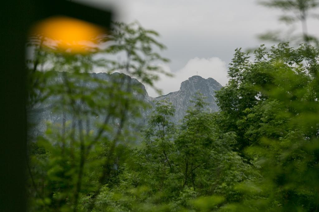 Apartamenty Stara Polana Zakopane Buitenkant foto